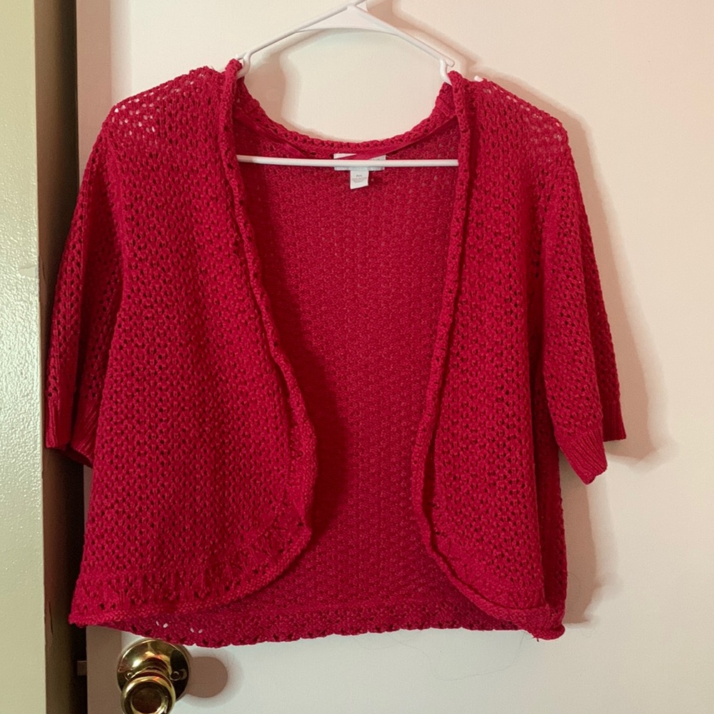 Petite Short Sleeve Knit Sweater